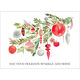 Christmas Bough Folded Holiday Cards Image 4 of 4